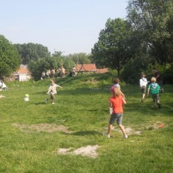 SDC14233 - Scouts en Gidsen Zaventem 